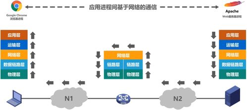 万字长文一篇搞定计网 计算机系统服务的深度解析与演进